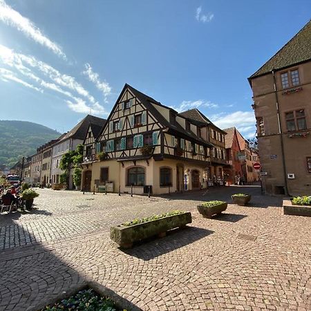 Apartamento Coeur D'Alsace Kaysersberg-Vignoble Exterior foto