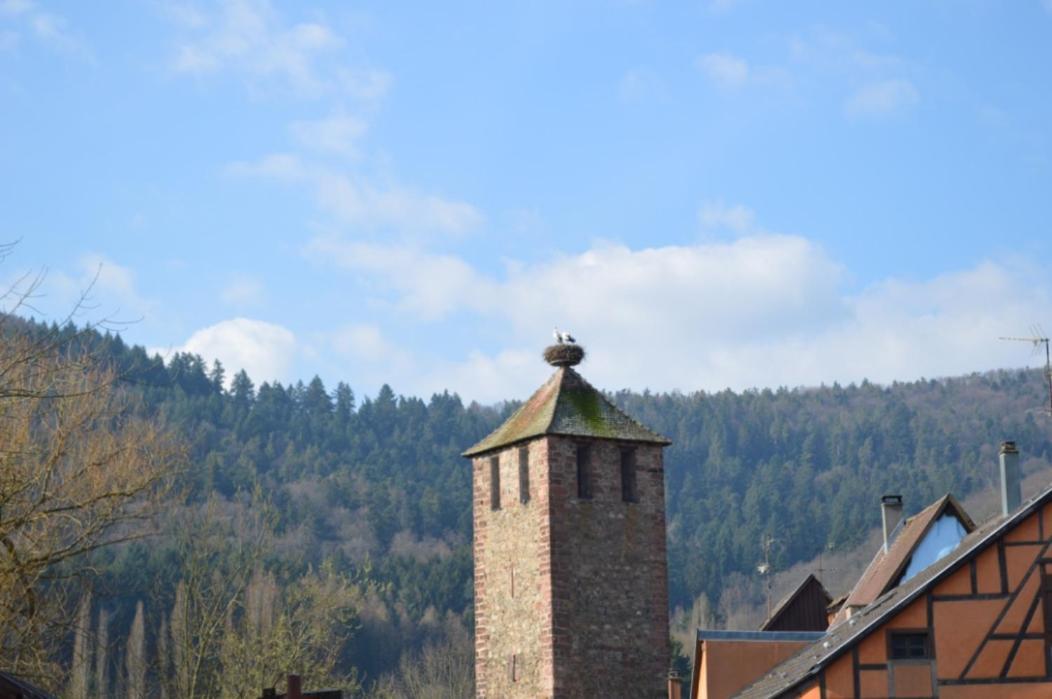 Apartamento Coeur D'Alsace Kaysersberg-Vignoble Exterior foto